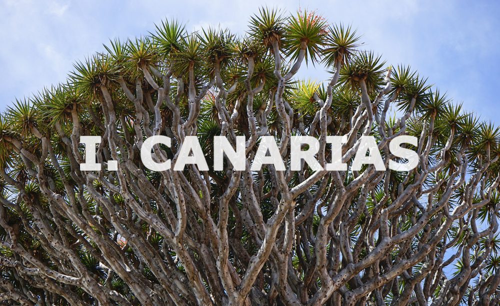 canarias-chaine-rotisseurs-espana