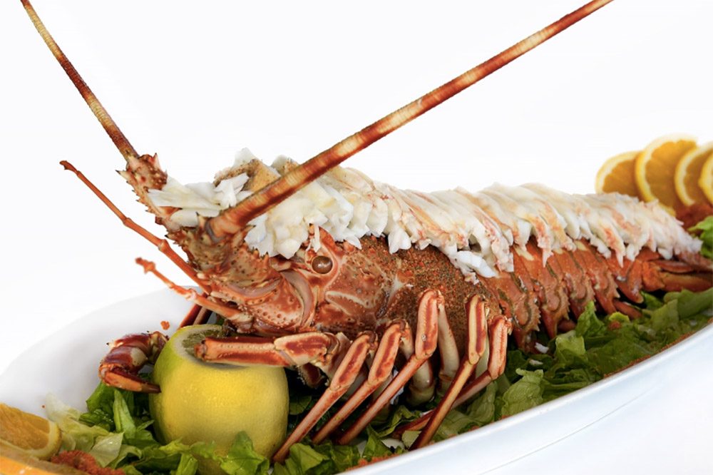 chaine-rotisseurs-espana-semana-santa-hotel