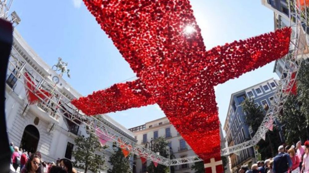 Díd de la Cruz 2019 - Granada